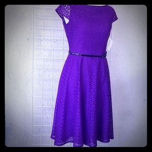 Black Label by Evan Piccone Lace Dress NWT Size 4